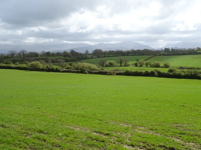 Grassland scenery near the North Wales Coast Line, Isle of Anglesey, viewed from the A5 road.