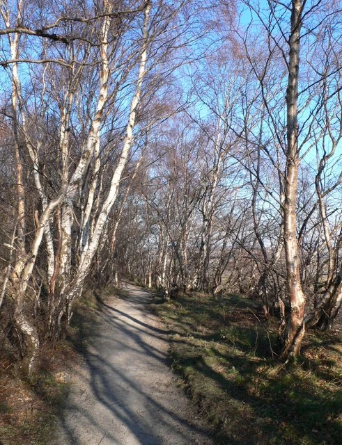 Flintshire coastal path