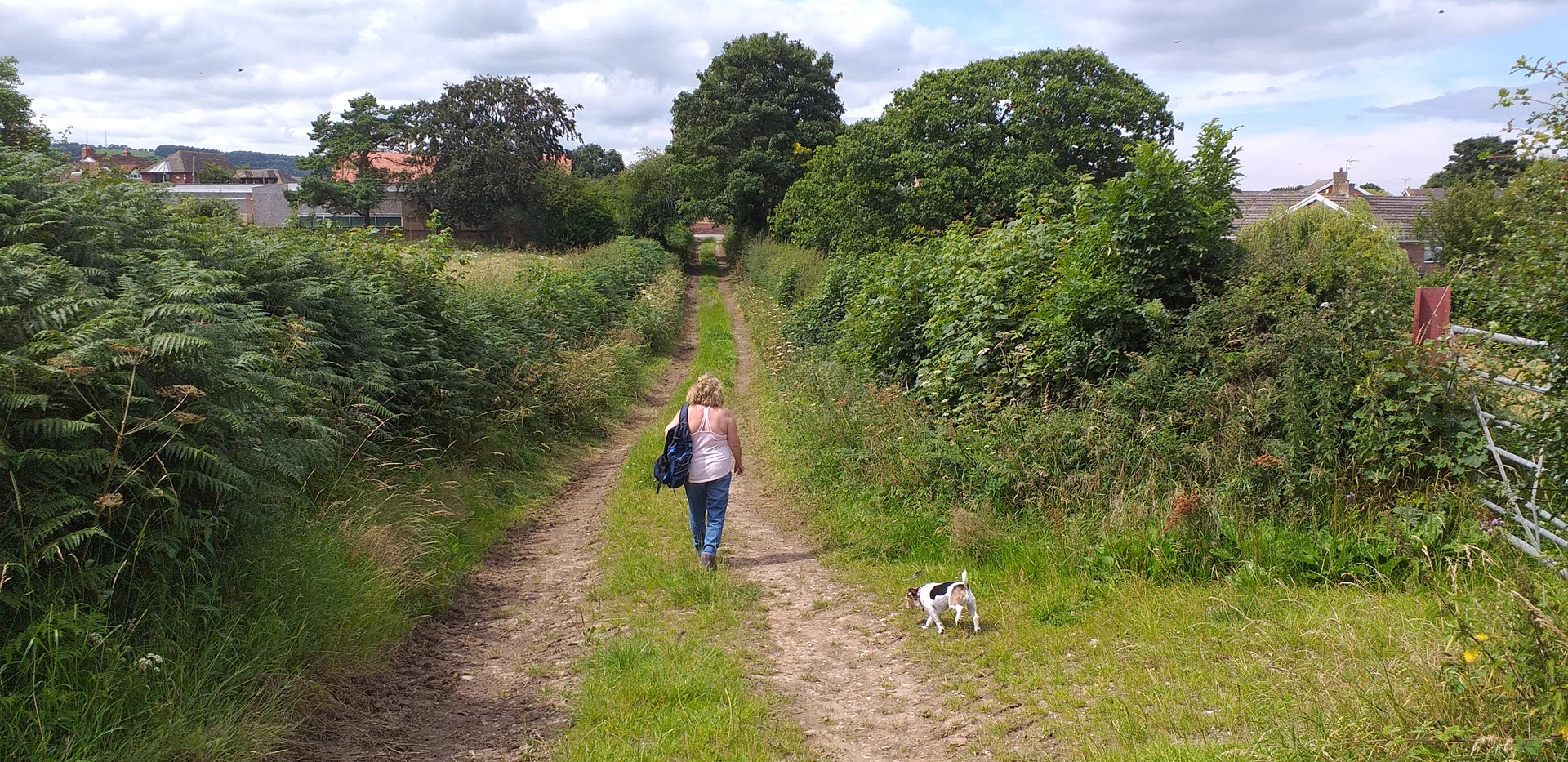 A footpath winding across the open grassland of Flint Mountain in Flintshire, Wales.