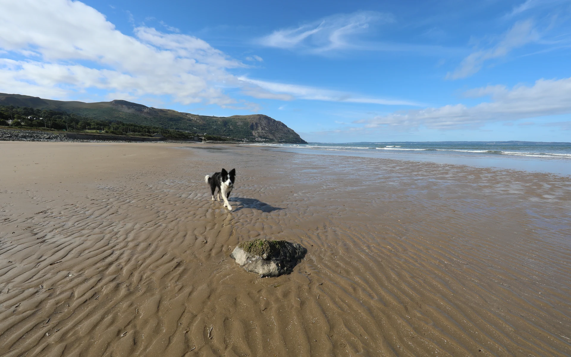 A sandy stretch of Penmaenmawr beach in Conwy, with calm waters and distant hills under a clear sky.