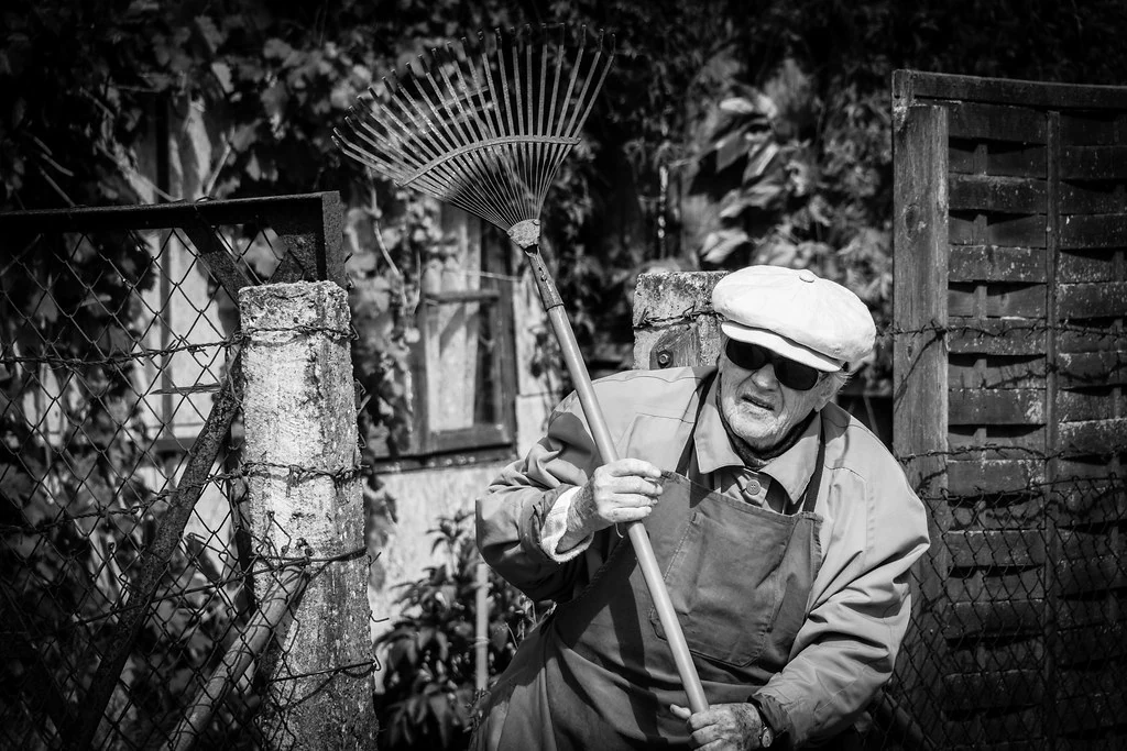 A gardener working in a garden