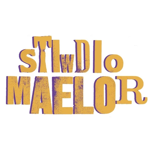 Stiwdio Maelor — Gwynedd logo