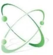 RP-IT Solutions logo